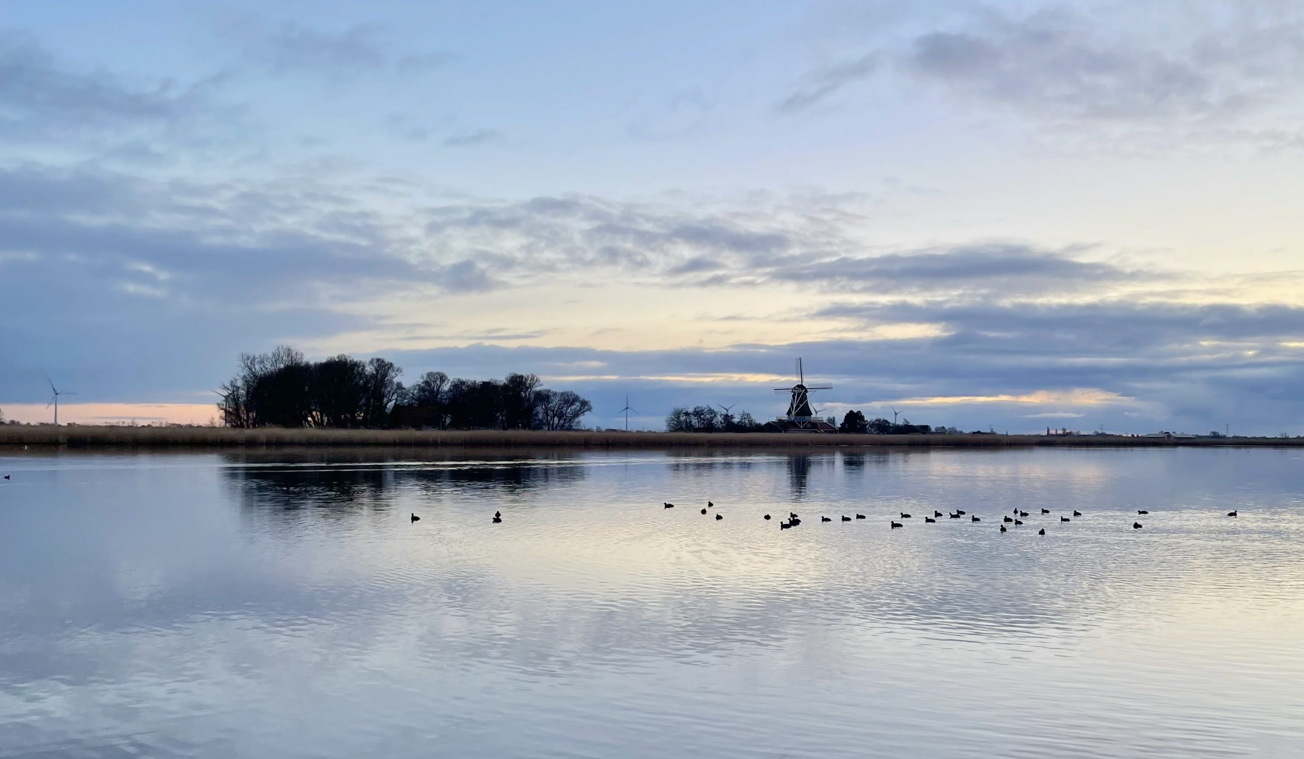 Gekleurde zonsondergang op het water met daarnaast bomen