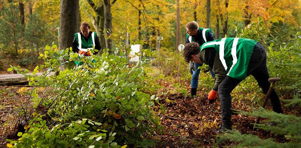 eerste oogstdag in Kolhornerbosje